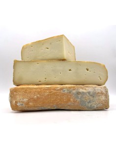 Taleggio DOP Queso de pasta blanda