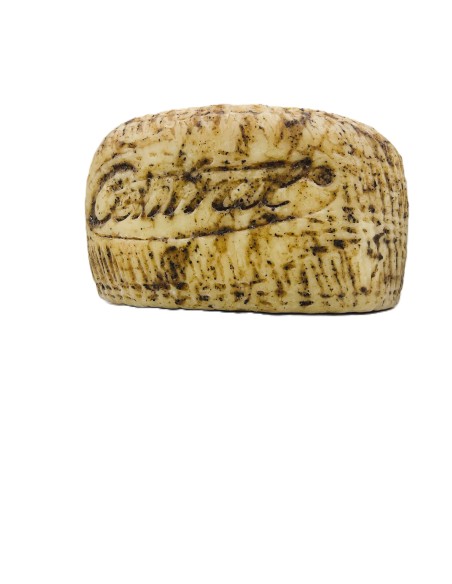 Rueda de queso Moliterno al Tartufo con leche de oveja y trufa negra. Rueda de queso Moliterno al Tartufo con leche de oveja y trufa negra.