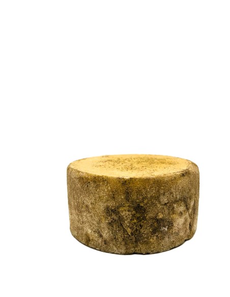 Muntanyola queso de búfala. Queso curado pieza entera.